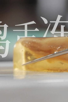 鲜生史