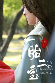 一胎二宝