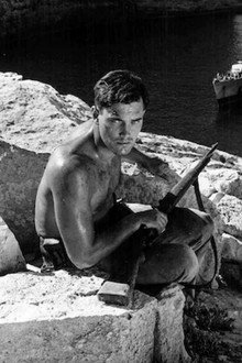 Sailor of the King