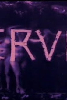 Nerven