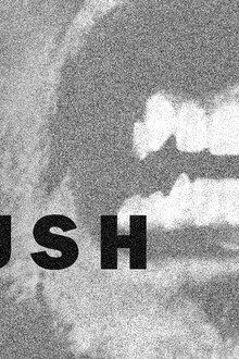 The Big Brush