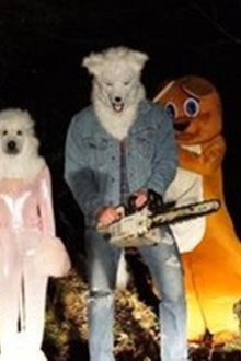 Furry Nights