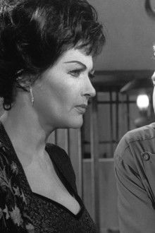 Arizona Bushwhackers