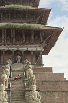 The Himalayan