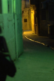 A Gay Girl in Damascus: The Amina Profile
