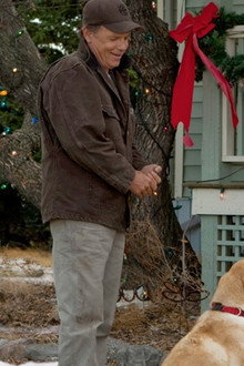 A Dog Named Christmas