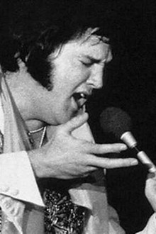 Elvis: The Rebirth of the King