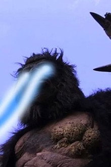 Zillafoot