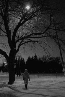 Les flocons de la fin du monde