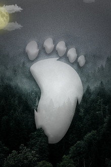 The Bigfoot Prophecy