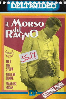 Il morso del ragno