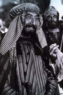 Toto the Sheik