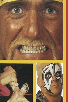 WCW Slamboree 1995