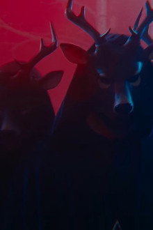 Yötön Yö