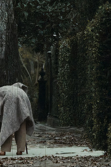 The Curious Birth of Benjamin Button