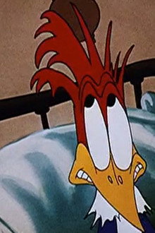 The Coo Coo Bird
