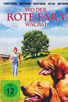 Wo der rote Farn wächst