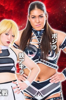 第15回 ゴッデス・オブ・スターダム ~タッグリーグ戦~ in KANDAMYOUJIN