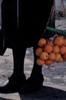 Terra Femme