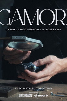 GAMORI