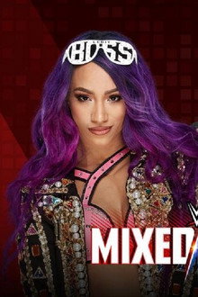 WWE Mixed-Match Challenge