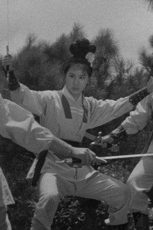 三鳳震武林
