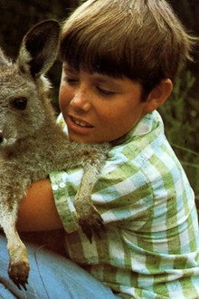 Skippy the Bush Kangaroo
