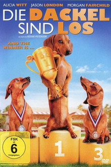 Die Dackel sind los