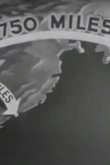 War Department Report
