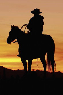 The Cowboy