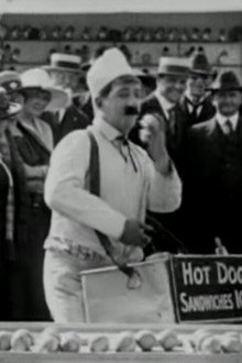 Hot Dogs
