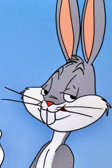 Homeless Hare