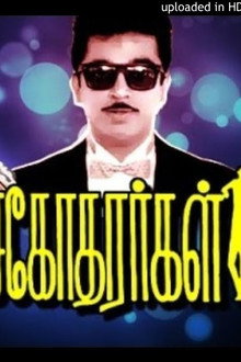 அபூர்வ சகோதரர்கள்