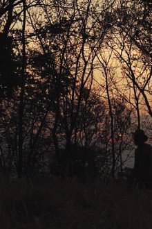 Terra e Luz