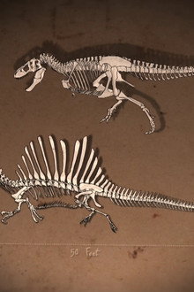 Bigger Than T.Rex