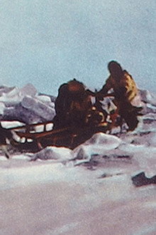 Arctic Fury