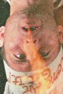 Porklips Now