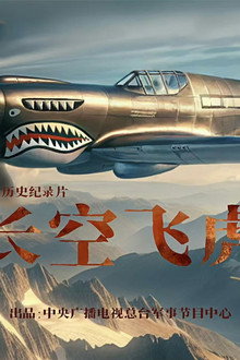 长空飞虎
