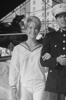 The Lieutenant
