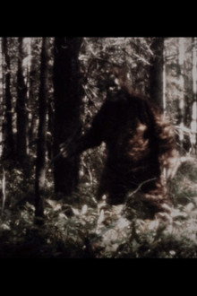 Secrets of the Sasquatch