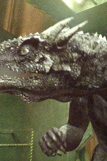 Dragon Fighter