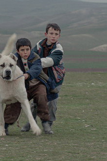 Sivas