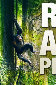 The Real Apes of the Planet