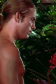 The Gardener