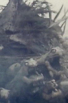 八岐之大蛇の逆襲