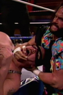 WWE UK Fan Favorites 1993