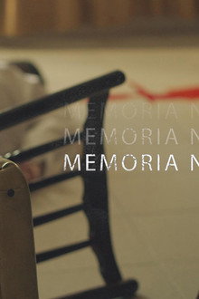 Memòria negra