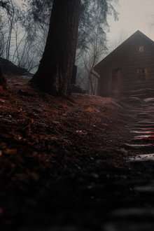 Cabin in the Woods