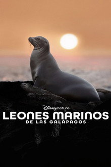Los leones marinos de las Galápagos
