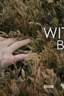 Without Bounds to Beat